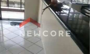 Imagem 4: Apartamento em Rua Marquês de Monte Alegre - Jardim Imperador - Praia Grande/SP