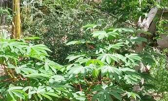 Imagem 3: Vende-se ou Troca-se casa