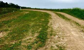 Imagem 5: 82C LOTES DE 500M2 A VENDA EM COTIA