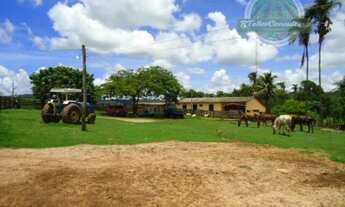 Imagem: Vendo Fazenda em Rondonópolis MT