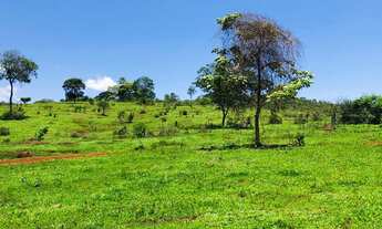 Imagem 5: Vende -se sitio/chácara de 20.000m² no Empreendimento Terra Dourada