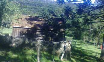 Imagem 7: VENDE-SE SÍTIO 60 HECTARES