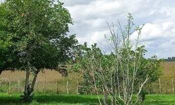 Imagem 5: Sitio a venda em Itapina