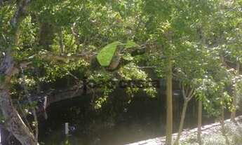 Imagem 2: Sítio - Santo Amaro da Imperatriz SC