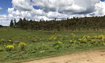 Imagem 6: VENDO ÁREA DE TERRA COM 41,5 HECTARES EM JAQUIRANA