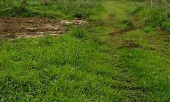 Imagem 5: Terreno à venda em Morretes/PR