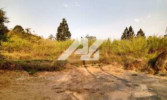 Imagem 3: Terreno - Joaquim Egídio - Campinas