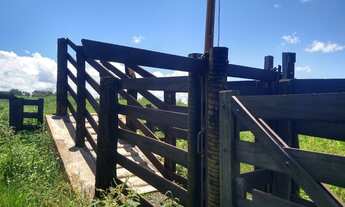 Imagem: Vendo está fazenda com 106 HECTARES há