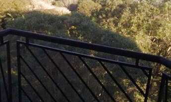 Imagem: Apartamento para Locação em São Paulo