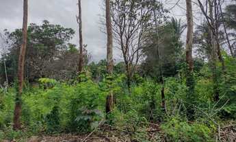 Imagem 2: Terreno Cajupari