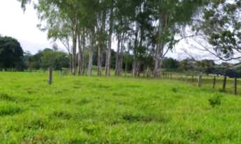 Imagem: Fazenda / sitio / chácara 6 alqueires em