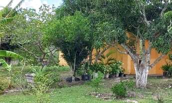 Imagem 3: Sitio a venda em Itapina