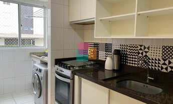 Imagem 6: JOINVILLE - Padrão - Glória