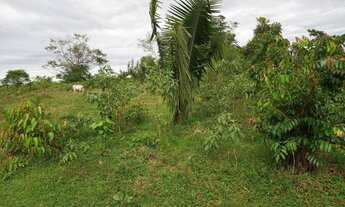 Imagem 6: Vende se chácara