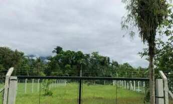 Imagem 7: Terreno à venda no bairro Porto de Cima - Morretes/PR