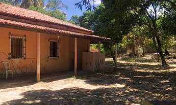 Imagem 6: Sitio no mosqueiro próximo a orla por do sol