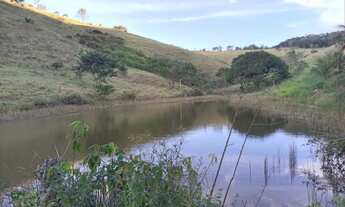 Imagem 5: Linda fazenda com 43 alqueires e meio. Linda, toda formada