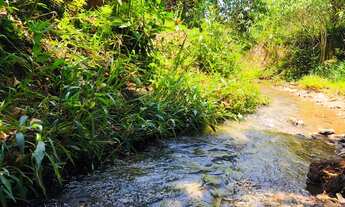 Imagem 2: Vende -se sitio/chácara de 20.000m² no Empreendimento Terra Dourada