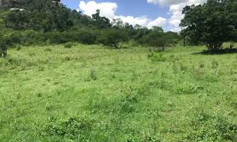 Imagem 9: Vendo fazenda Fazenda / sítio com venda por R$3.200.000