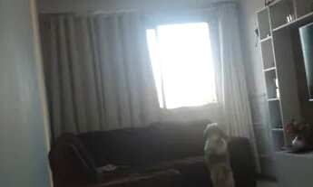 Imagem 4: Vende-se Apartamento com 2 dormitórios