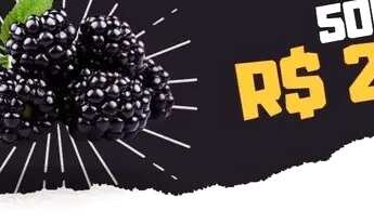 Imagem 6: Morangos, Mirtilos, Kiwi, Amora e Framboesas naturais congeladas