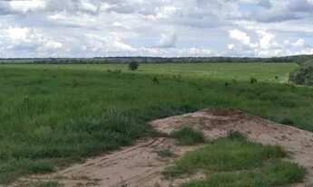 Imagem 4: Créditos Agro: Sítios e Fazendas para o Seu Negócio Crescer!