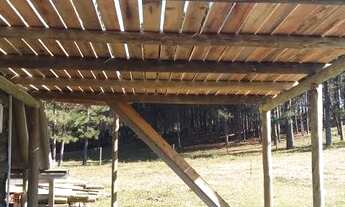 Imagem 5: Casa para aluguel com 3400 metros quadrados com 1 quarto em Centro - Campo Alegre - SC