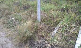 Imagem 6: 700 mts Praia Ponta de Coqueiro PB (Pitimbu). 14.000,a vista ou 5.000, leia o anúncio