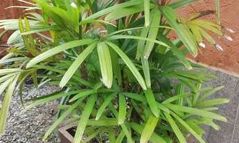 Imagem 6: Apt mobiliado na praia