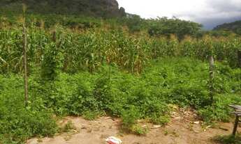 Imagem 7: Fazenda para Venda em São Braz do Piauí
