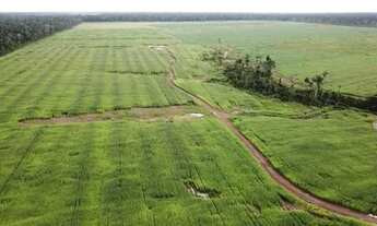 Imagem 2: Fazenda para venda tem 2.210.000 Hectares em Tomé-Açú - PA