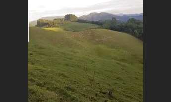 Imagem 5: 23.6 Hectares (ideal gado