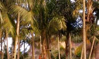 Imagem 6: Aluguel casa Casa com 2 dormitórios