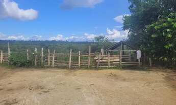 Imagem 3: Vendo um terreno no praia grande