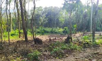 Imagem 6: Compre e construa