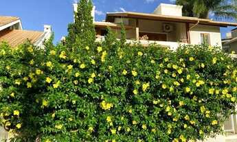 Imagem: FLORIANóPOLIS - Casa Padrão - Córrego