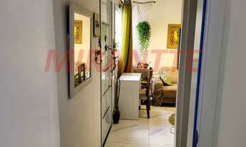 Imagem 7: Lindo apartamento em Vila Dom Pedro II