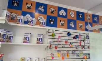 Imagem 4: Pet Shop em São Bernardo Nova Petropolis