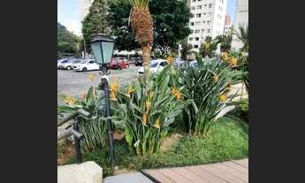 Imagem 6: Apartamento para aluguel tem 56 metros quadrados com 2 quartos em Jardim Celeste - São Pau