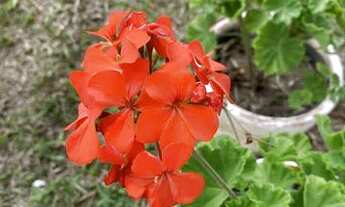 Imagem 5: As informações estão sujeitas a alterações. Consul