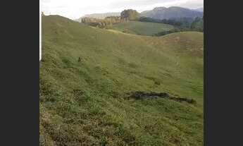 Imagem 3: 23.6 Hectares (ideal gado