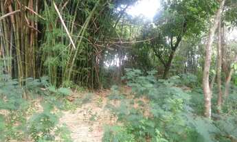 Imagem 7: Fazenda para Venda em Padre Bernardo