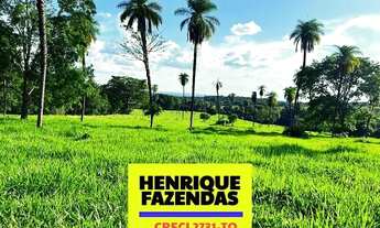 Imagem 5: Fazenda excelente para criação e engorda 80 alqueires com 75 alqueires