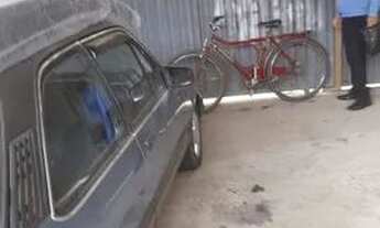 Imagem 4: Casa grande e Barata