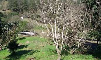 Imagem 6: Chácara de Lazer proximo da cidade, 2,1 Hectares junto ao Campo de Golfe de Caxias do Sul