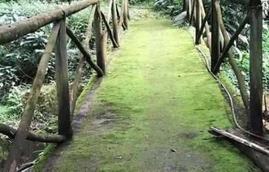 Imagem 2: Vendo casa em Paraty