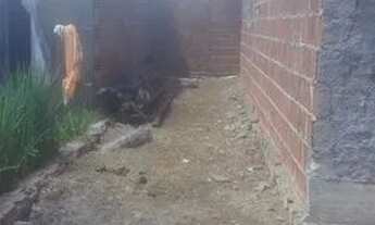 Imagem 5: Pra vender rápido