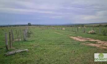 Imagem 5: FAZENDA 1060 HECTARES EM CORGUINHO/MS
