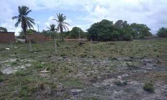Imagem 3: 700 mts Praia Ponta de Coqueiro PB (Pitimbu). 14.000,a vista ou 5.000, leia o anúncio