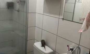 Imagem 4: Apartamento mobiliado